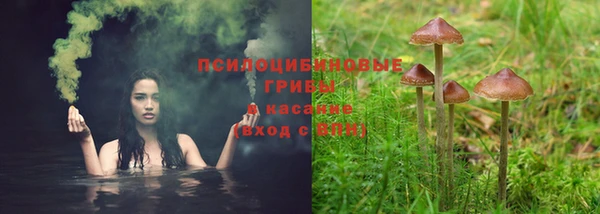 крисы Аркадак