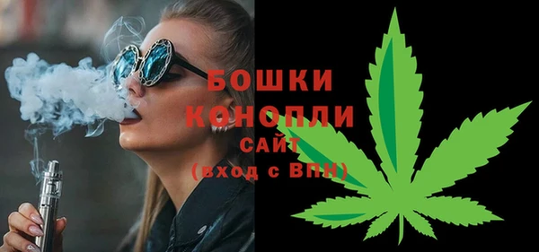 хмурый Арсеньев
