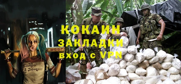 крисы Аркадак