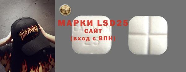 хмурый Арсеньев