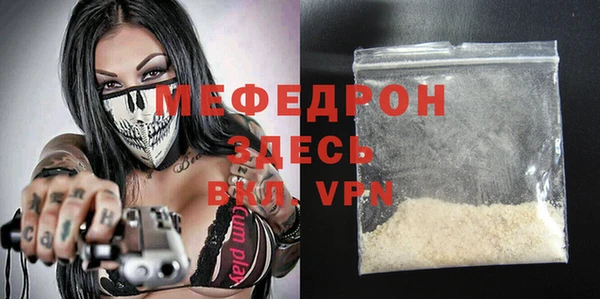 сатива Новозыбков