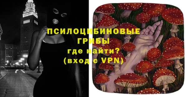 хмурый Арсеньев