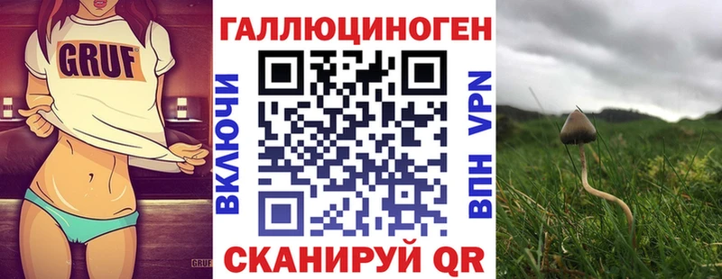 где купить наркотик  Чистополь  blacksprut tor  Псилоцибиновые грибы мицелий 